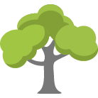 Loveland Tree Trimming